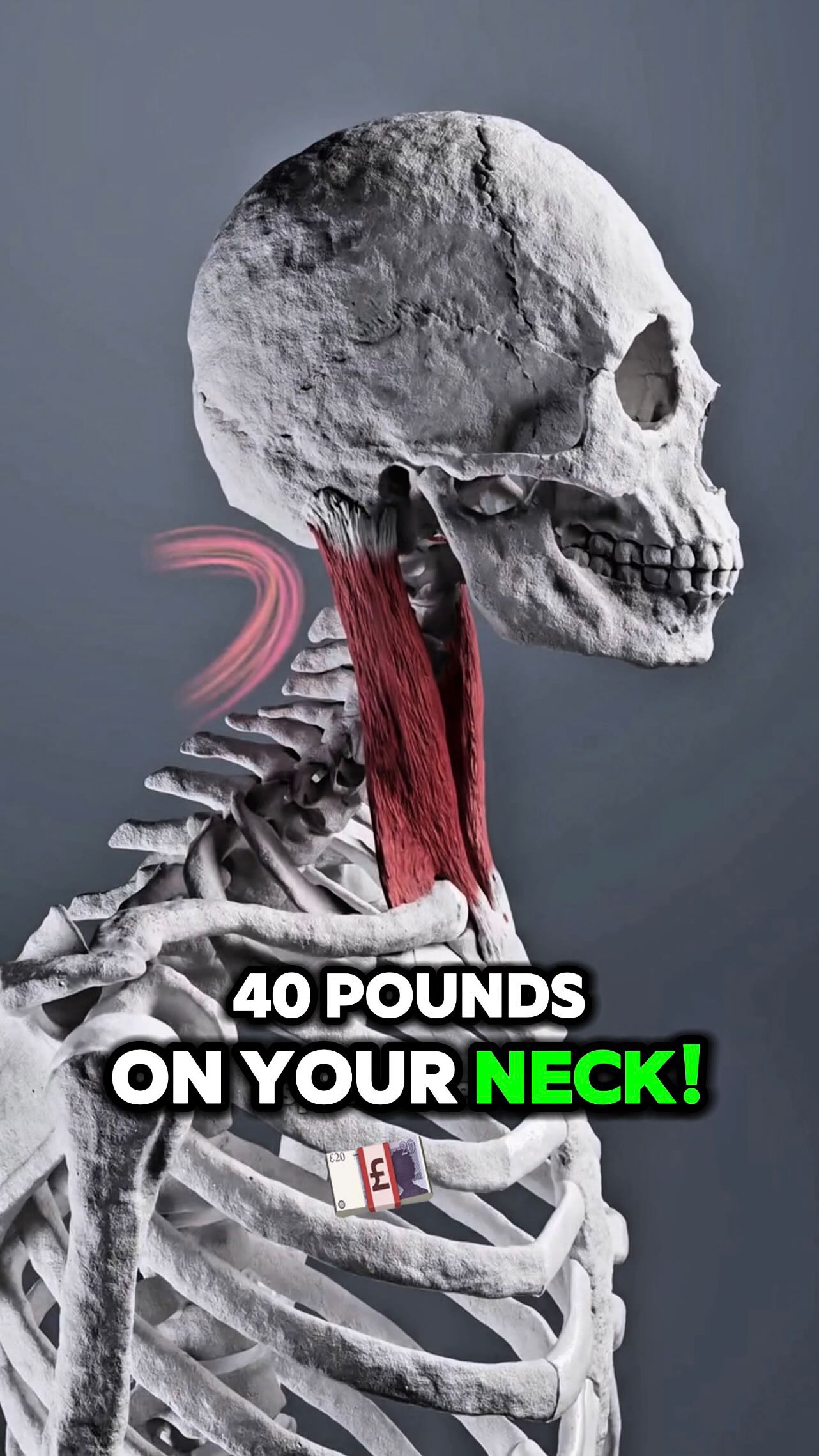 Posture Guy Mike on Instagram